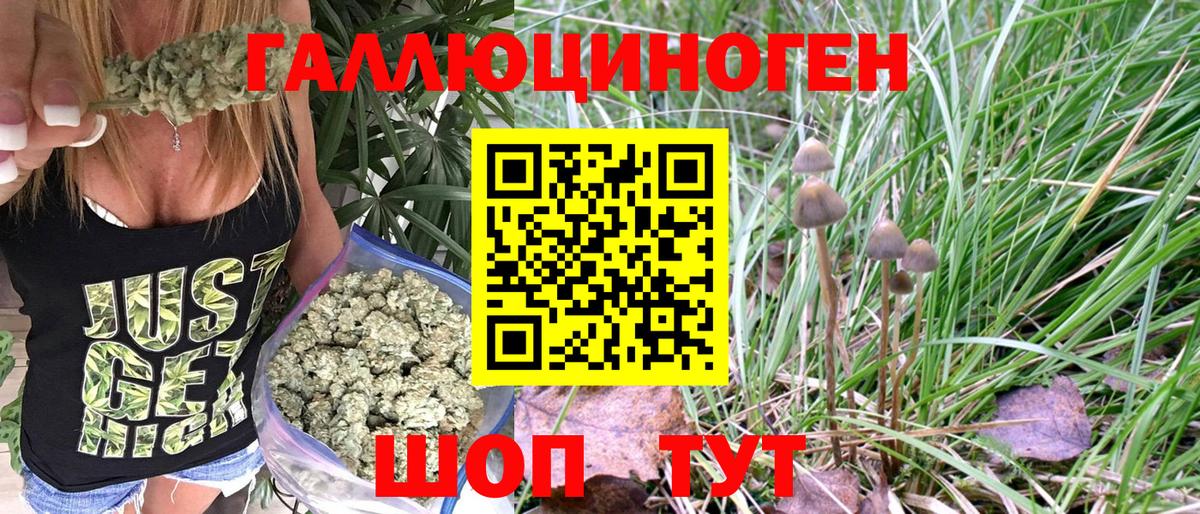 Псилоцибиновые грибы ЛСД Бузулук